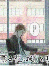 街头女战士 韩国综艺